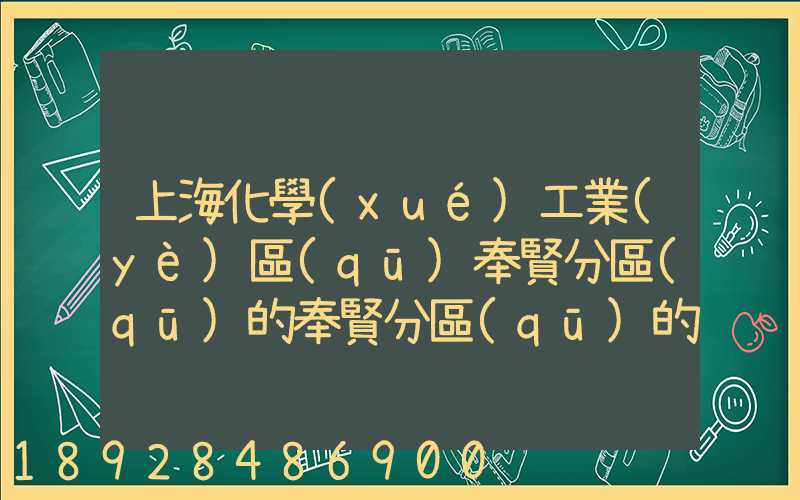 上海化學(xué)工業(yè)區(qū)奉賢分區(qū)的奉賢分區(qū)的條件及優(yōu)勢