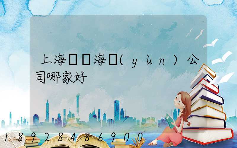 上海國際海運(yùn)公司哪家好