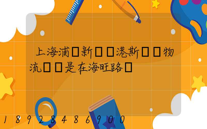 上海浦東新區臨港斯國際物流園區是在海旺路嗎