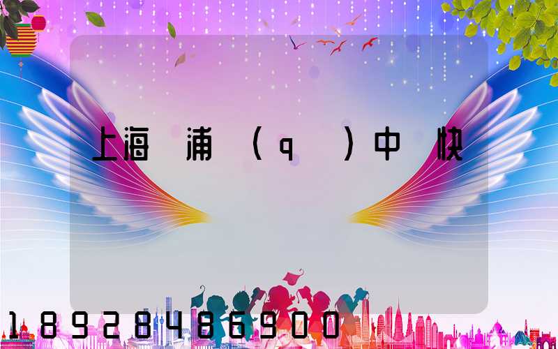 上海黃浦區(qū)中鐵快運