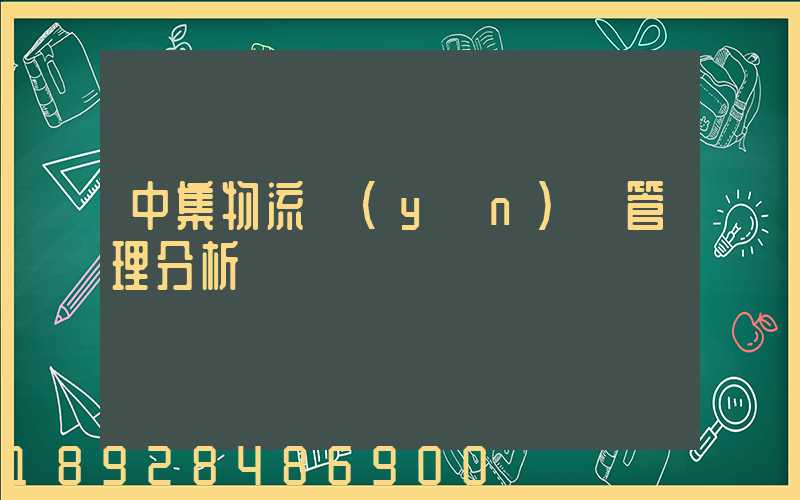 中集物流運(yùn)輸管理分析