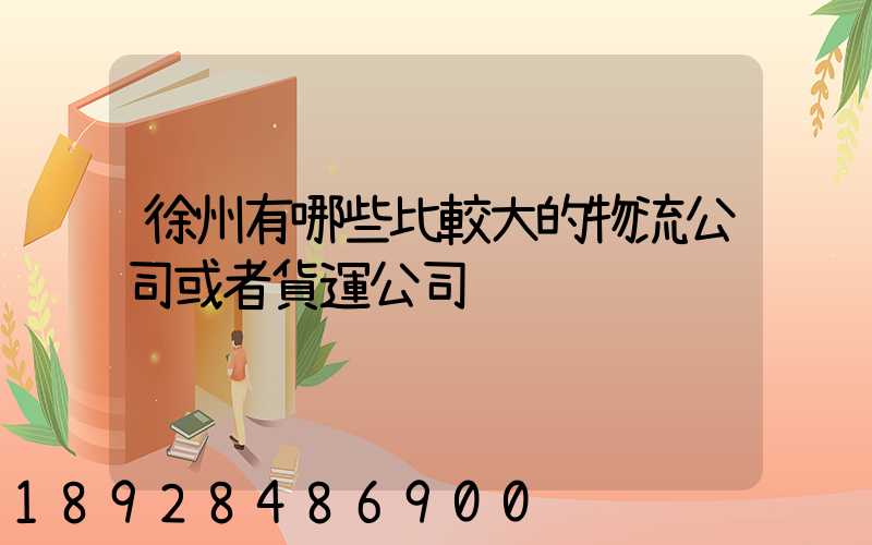 徐州有哪些比較大的物流公司或者貨運公司