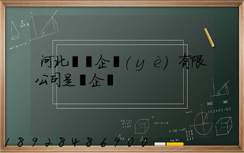 河北藍鯨企業(yè)有限公司是國企嗎