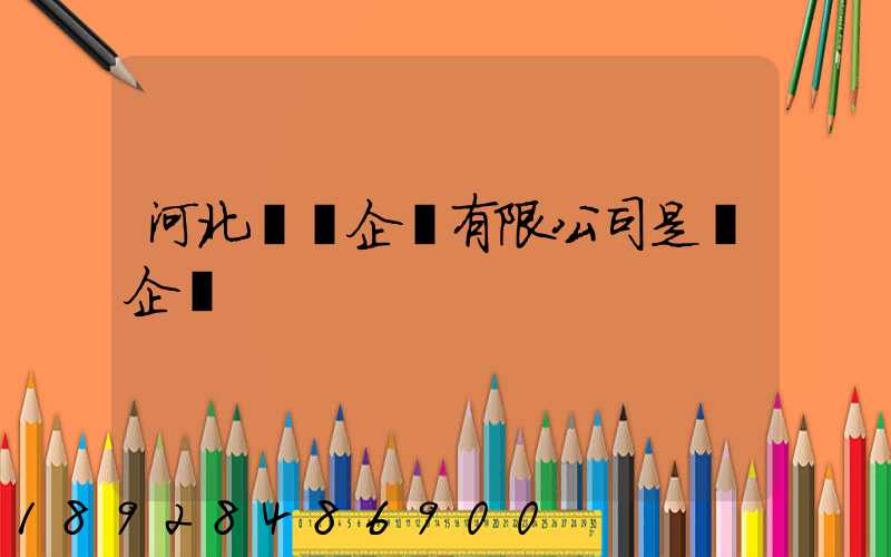 河北藍鯨企業有限公司是國企嗎