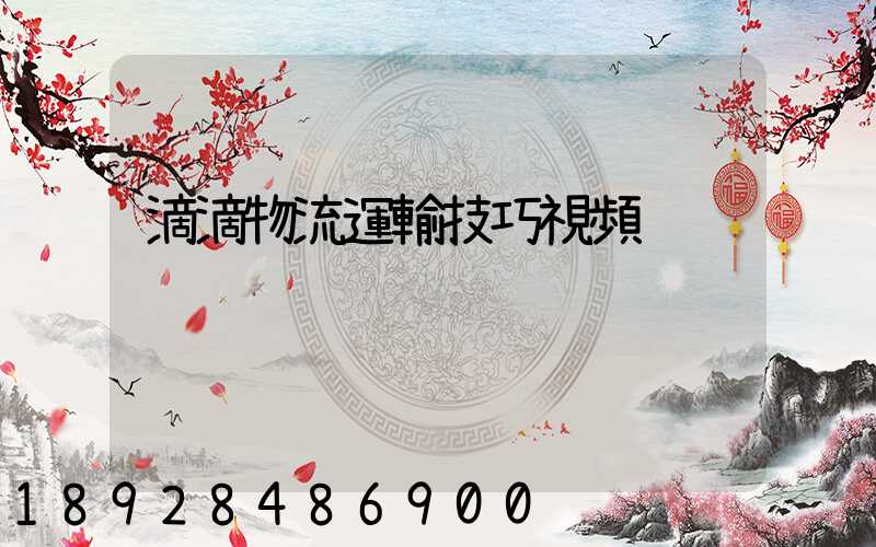 滴滴物流運輸技巧視頻