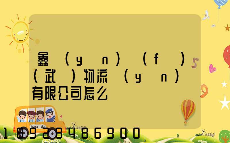 鑫運(yùn)發(fā)(武漢)物流運(yùn)輸有限公司怎么樣